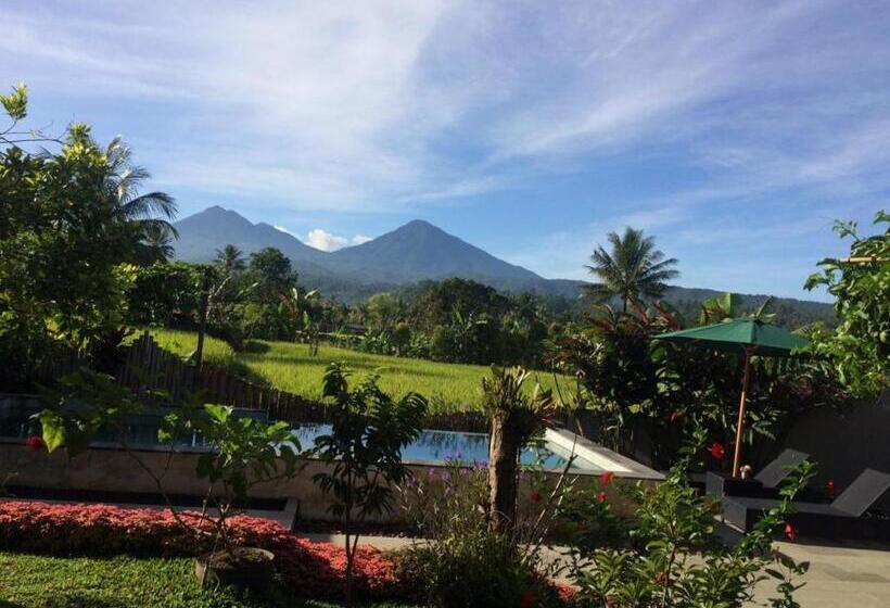 Pensjonat Room In Villa   The Champuhan Villa   Honeymoon Villa With Rice Field View