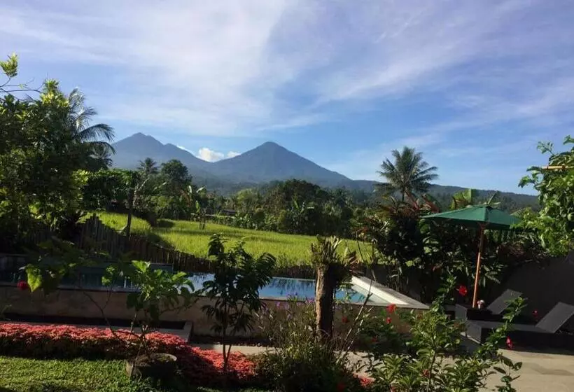 Majatalo Room In Villa   The Champuhan Villa   Honeymoon Villa With Rice Field View