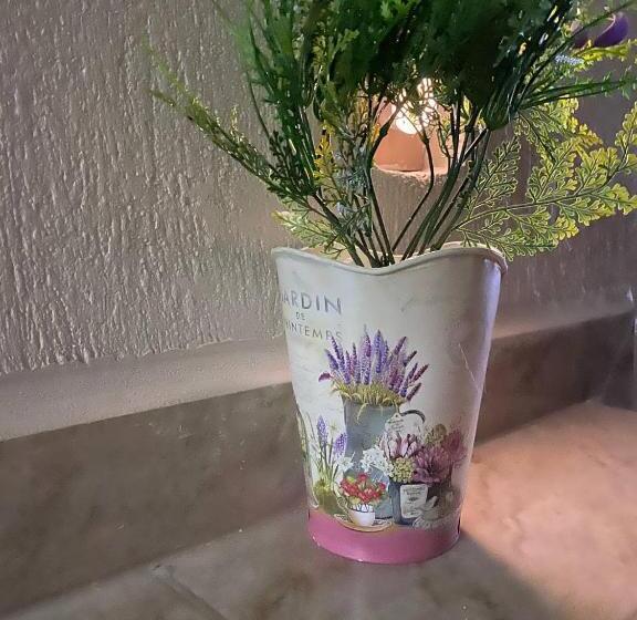 فندق Central Pirámides