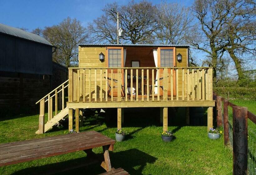 בית מלון כפרי The Lazy Shepherd