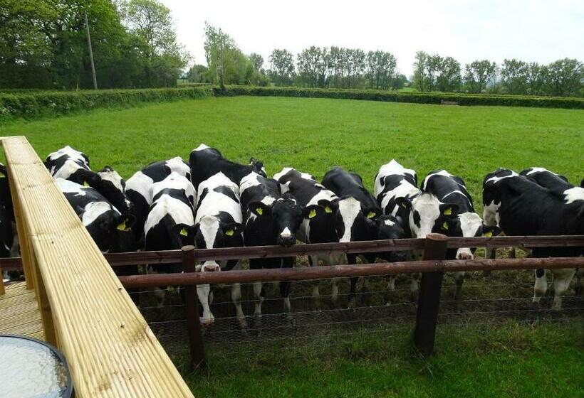 בית מלון כפרי The Lazy Shepherd