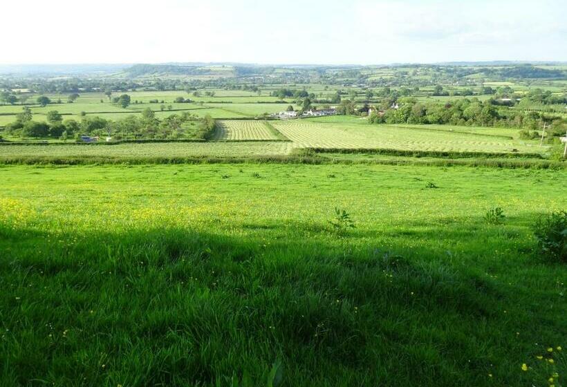 בית מלון כפרי The Lazy Shepherd