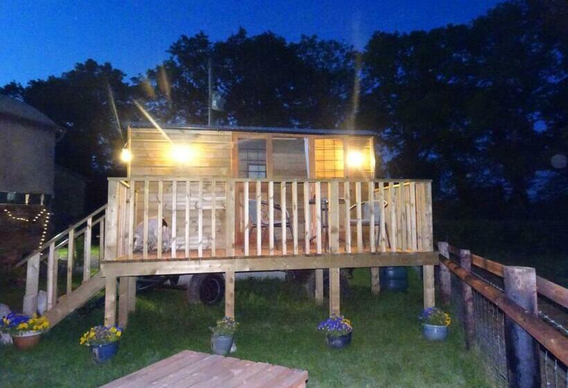 בית מלון כפרי The Lazy Shepherd