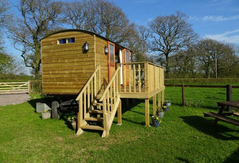 בית מלון כפרי The Lazy Shepherd