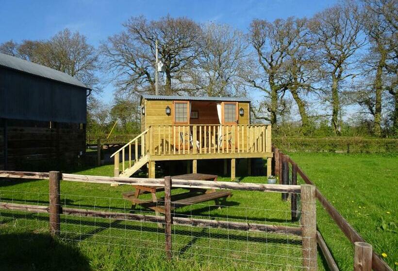 בית מלון כפרי The Lazy Shepherd