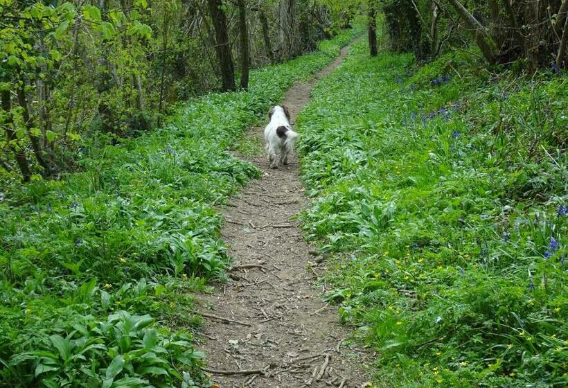 בית מלון כפרי The Lazy Shepherd
