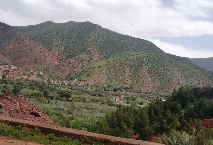 Jnane