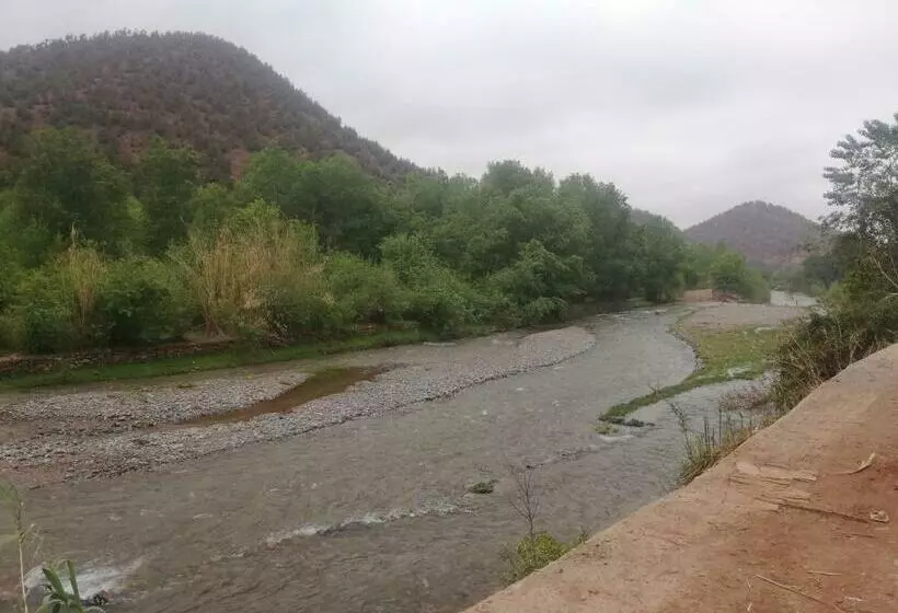 Jnane