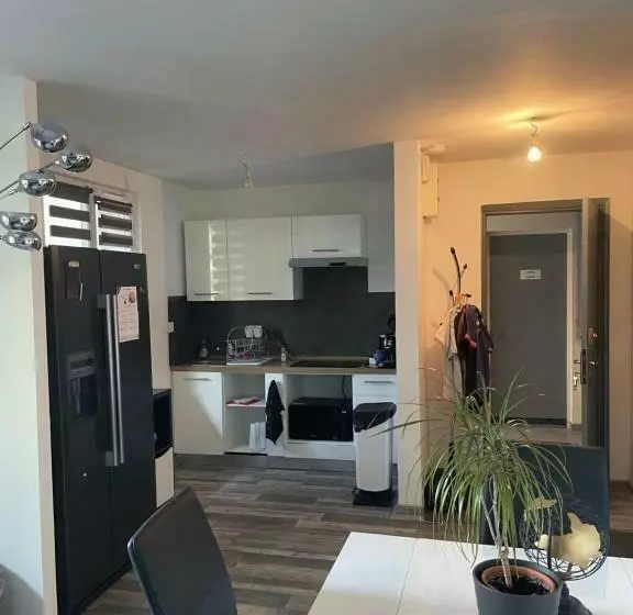 Appartement Rdc Calme En Hyper Centre Ville