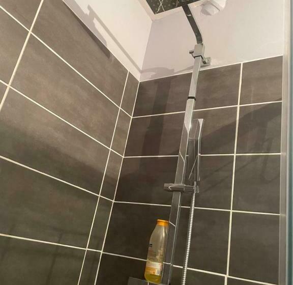 Appartement Rdc Calme En Hyper Centre Ville