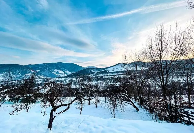 Aamiaismajoitus (B&B) Elysian Fields   The Island Tiny House