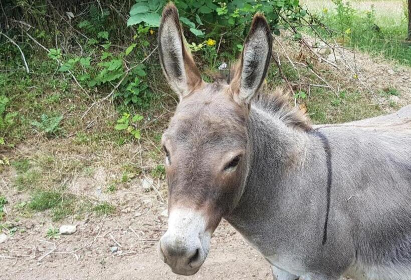 فندق The Cottage On The Farm