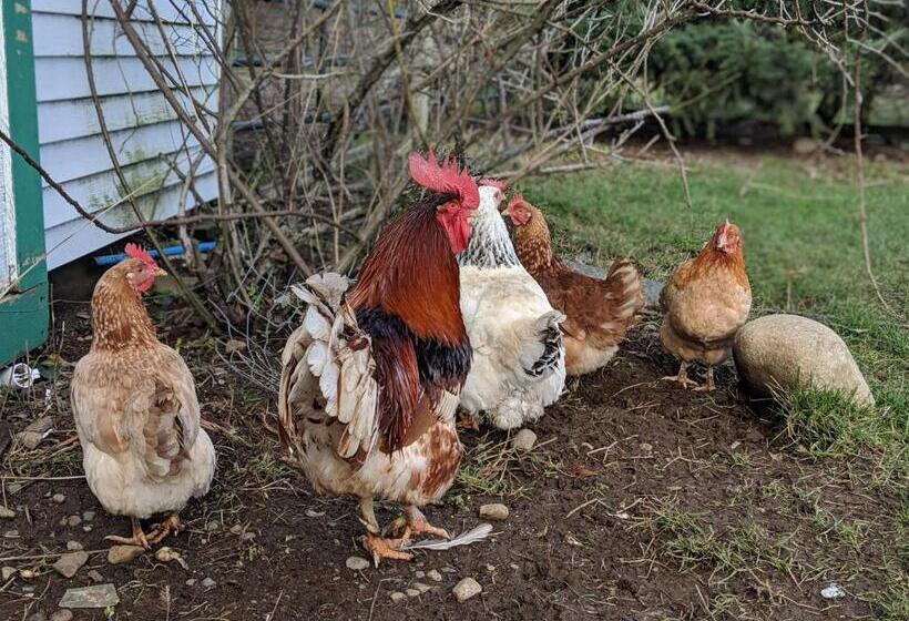 فندق The Cottage On The Farm