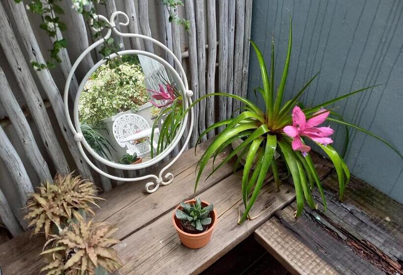 膳宿费 Driftwood Suite, Villa Roc Guesthouse, Salt Rock Ballito, No Loadshedding