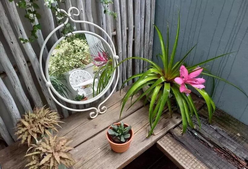 Majatalo Driftwood Suite, Villa Roc Guesthouse, Salt Rock Ballito, No Loadshedding