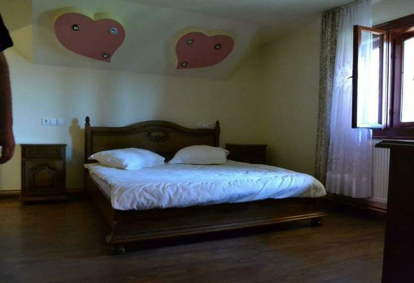 פנסיון Casa Din Barsana