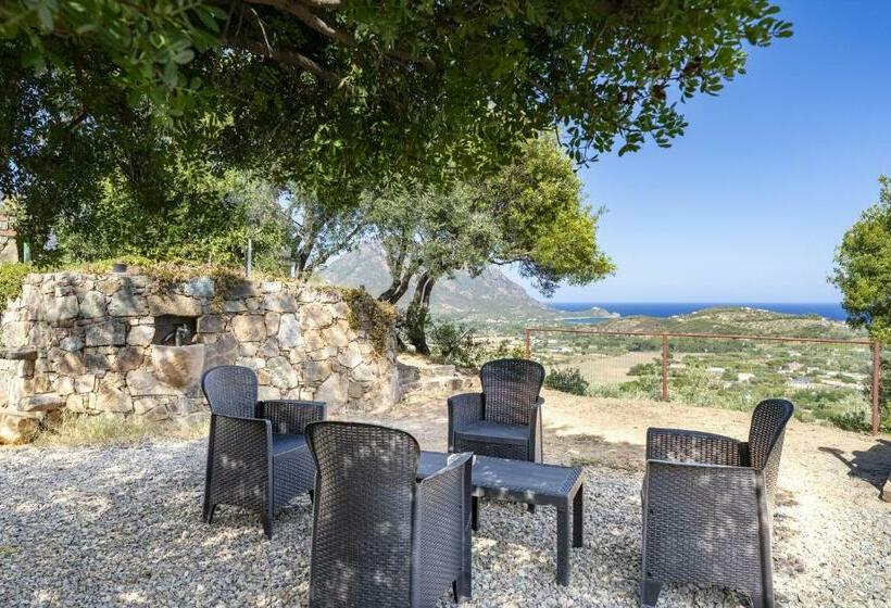 Casa Vacanza Gli Ulivi Secolari