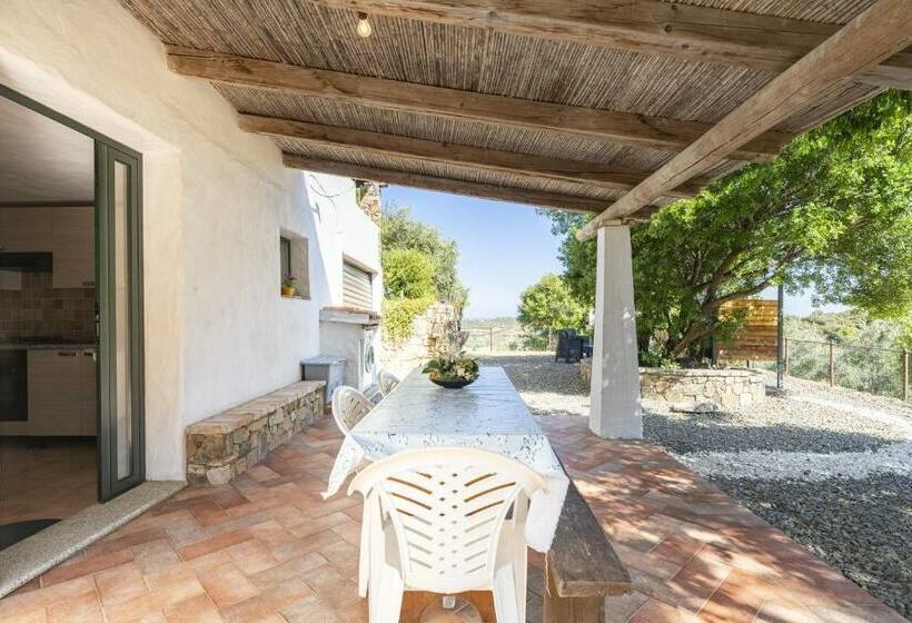 Casa Vacanza Gli Ulivi Secolari