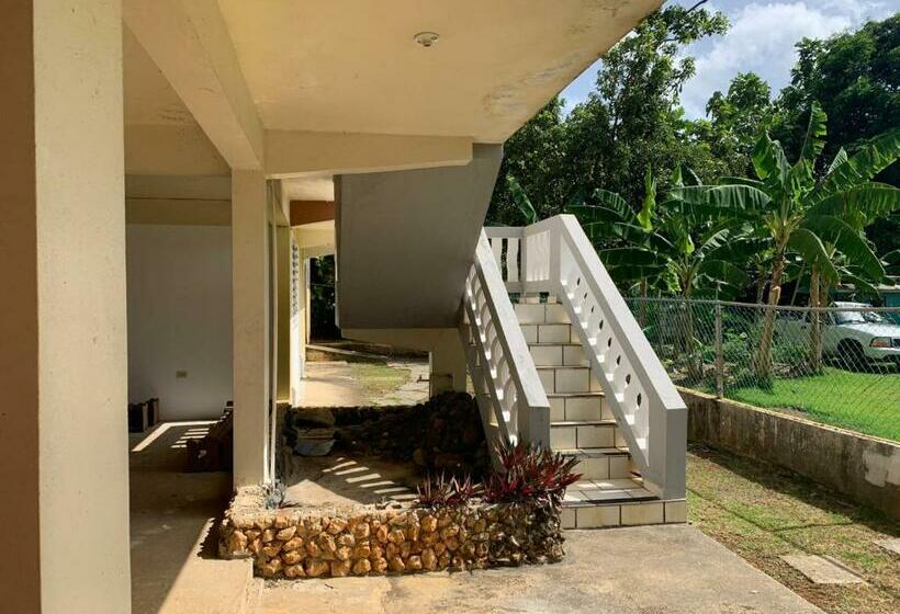 Confort Y Relajación Apartamento 1