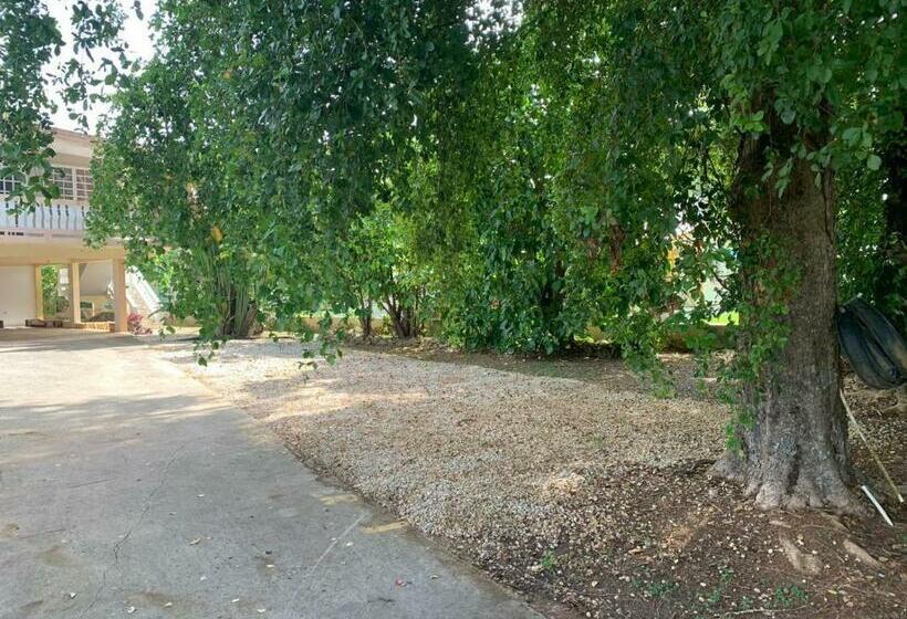 Confort Y Relajación Apartamento 1