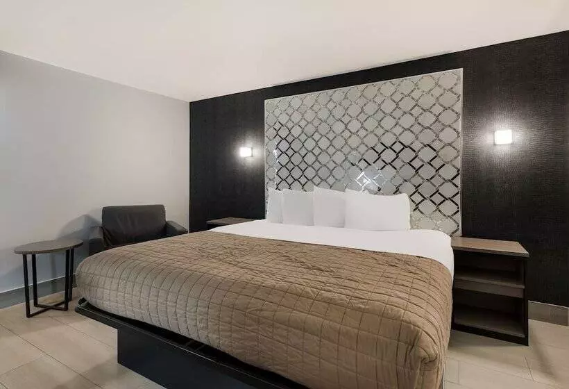 Hotelli Essence Express Wayne