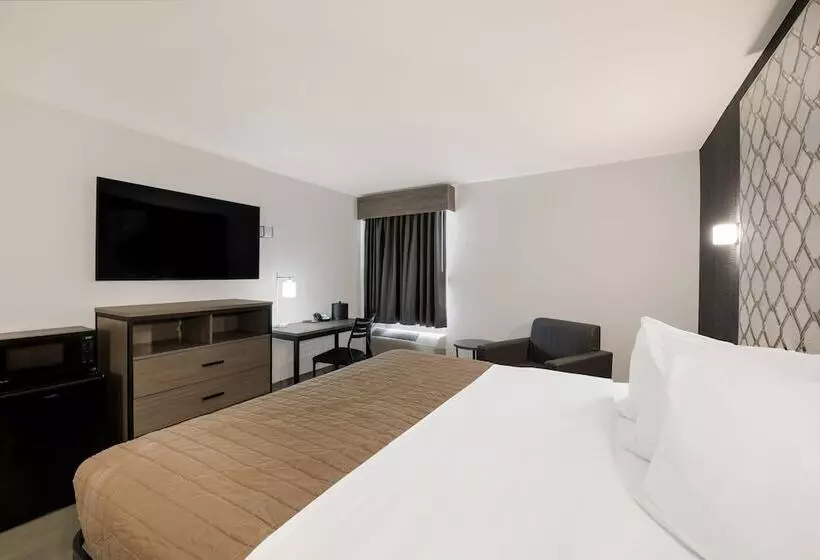 Hotelli Essence Express Wayne