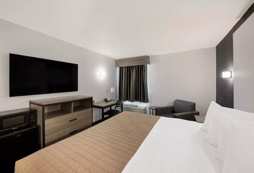 Hotelli Essence Express Wayne