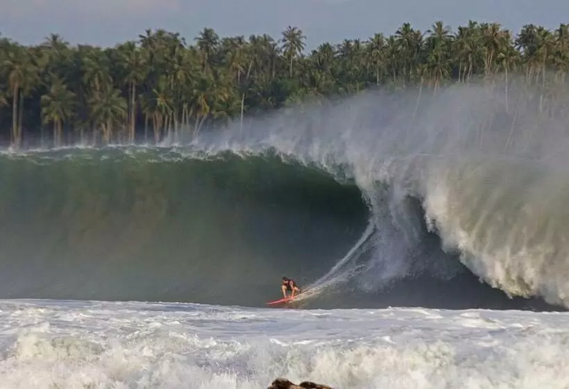 Aamiaismajoitus (B&B) Marlynto Nias Losmen