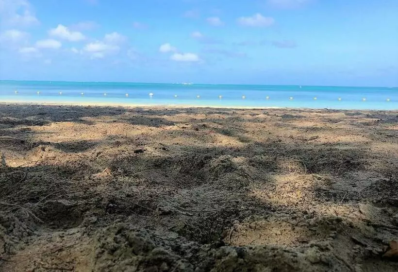 تختخواب و صبحانه Residence Le Point Choisy