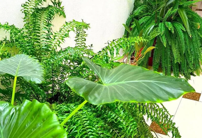 تختخواب و صبحانه Residence Le Point Choisy