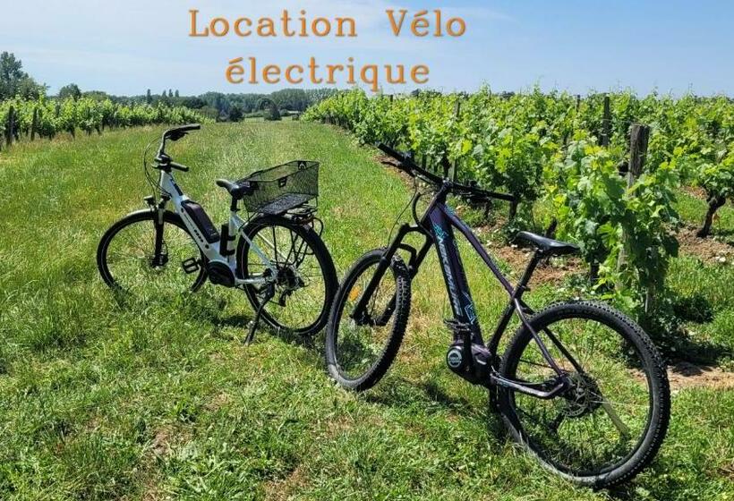 Bed and Breakfast Au Do Mayne Des Bouilles   Spa & Piscine