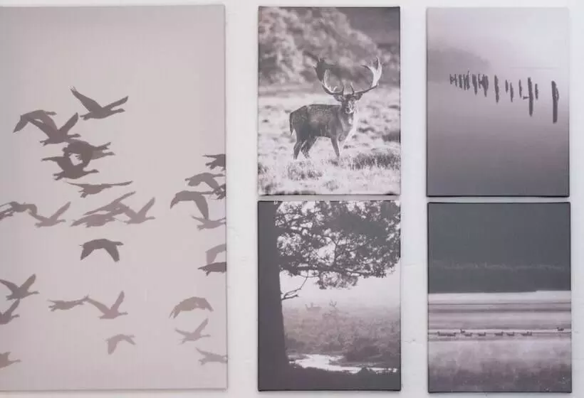 Italianway   San Gallo 16