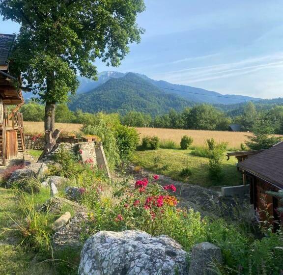 Пансион Cabana Vanatorului 8