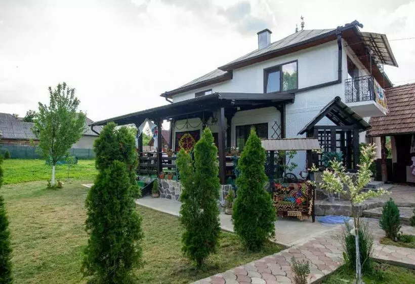 Pensiunea Opincaru