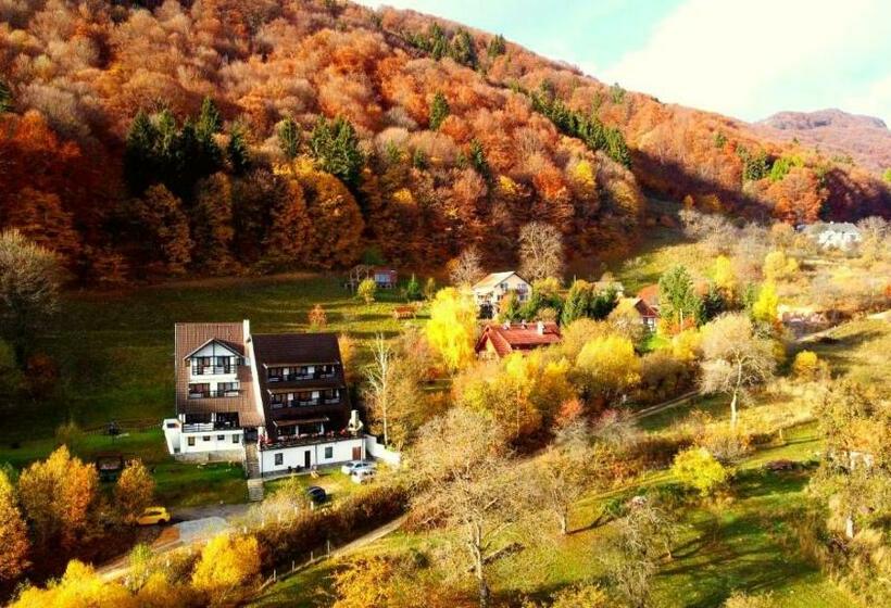 Pensiunea Ursuleț Bran