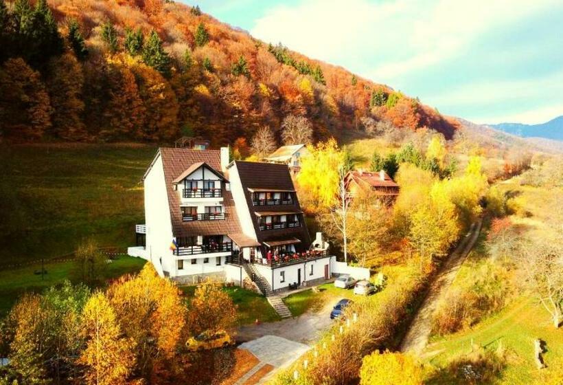 Pensiunea Ursuleț Bran