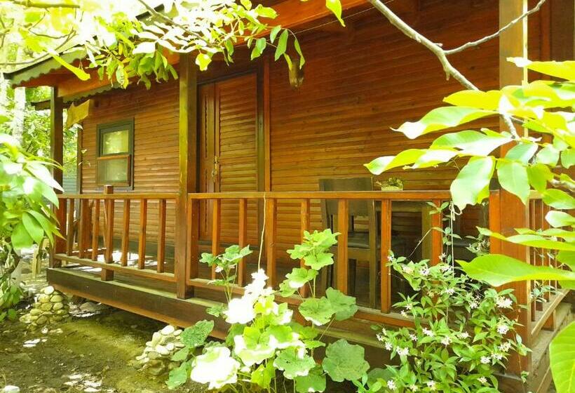 تختخواب و صبحانه Endemik Bungalov