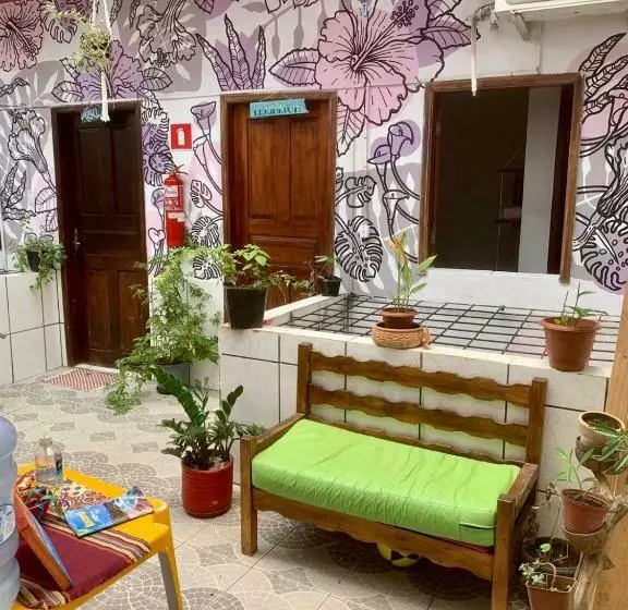 Ammonite Hostel   Itacaré