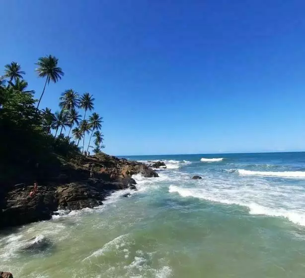 Ammonite Hostel   Itacaré