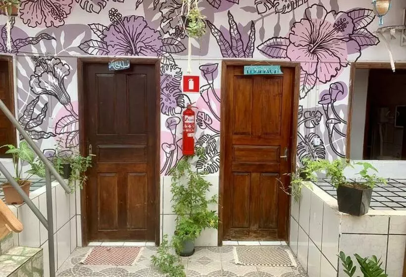 Ammonite Hostel   Itacaré