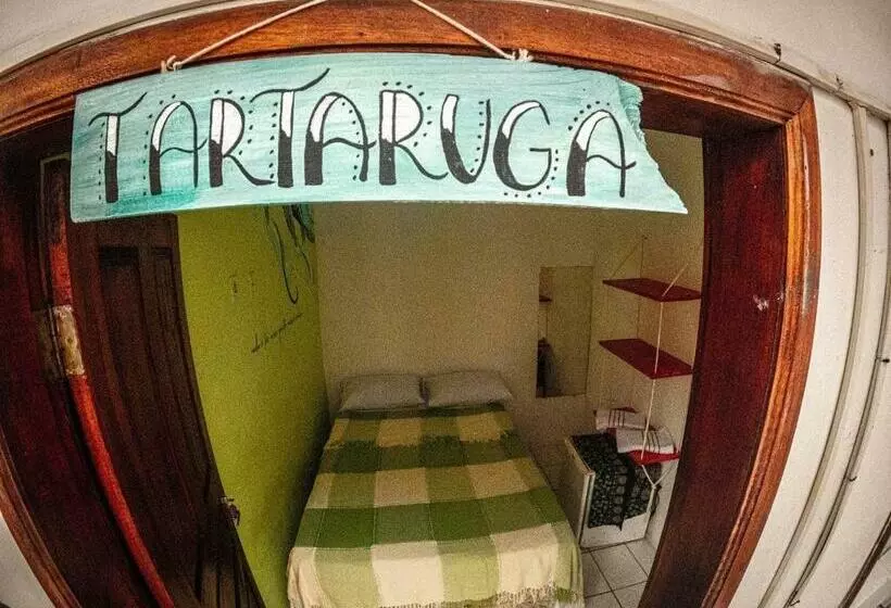 Ammonite Hostel   Itacaré