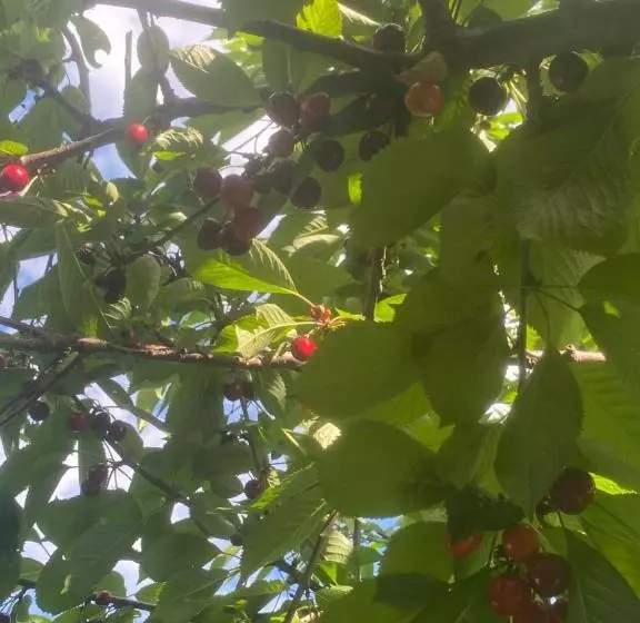 ベッドアンドブレックファースト Anita