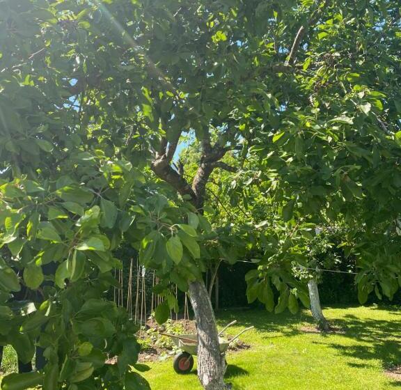 مبيت وإفطار Anita