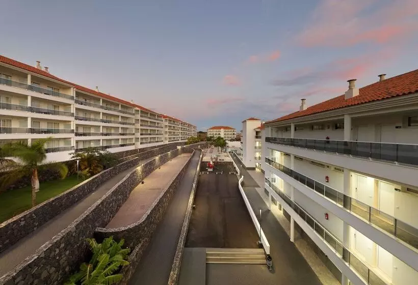 Marinell Collection Palm Mar