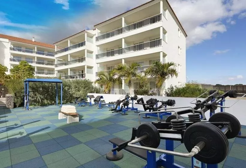 Marinell Collection Palm Mar