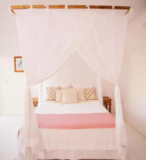 پانسیون Pousada Lirio Trancoso