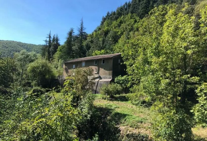 ベッドアンドブレックファースト Le Moulin De Bouzigue
