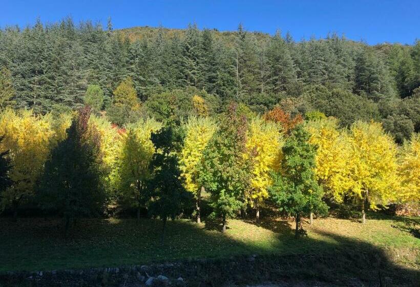 민박 Le Moulin De Bouzigue