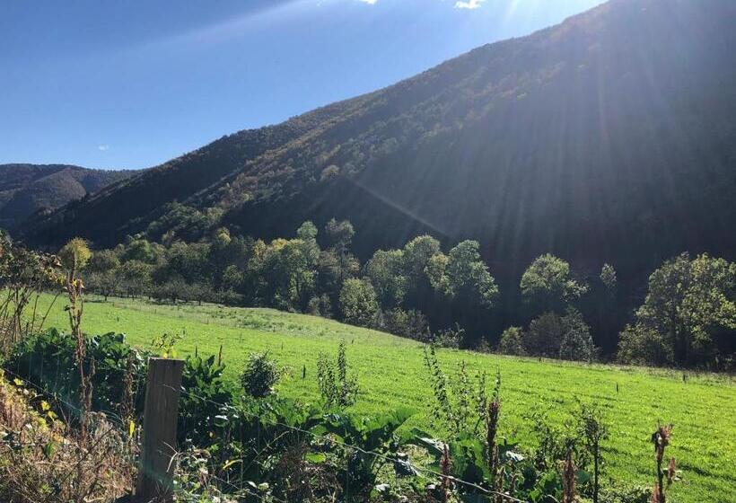 Bed and Breakfast Le Moulin De Bouzigue