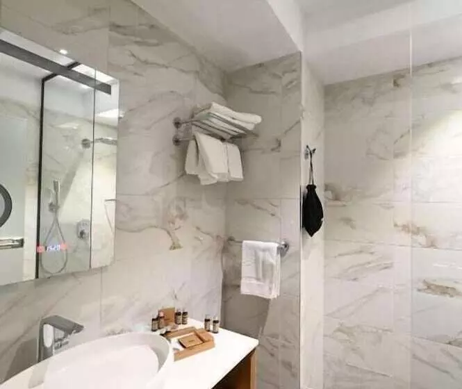 ホテル Aniroc Signature